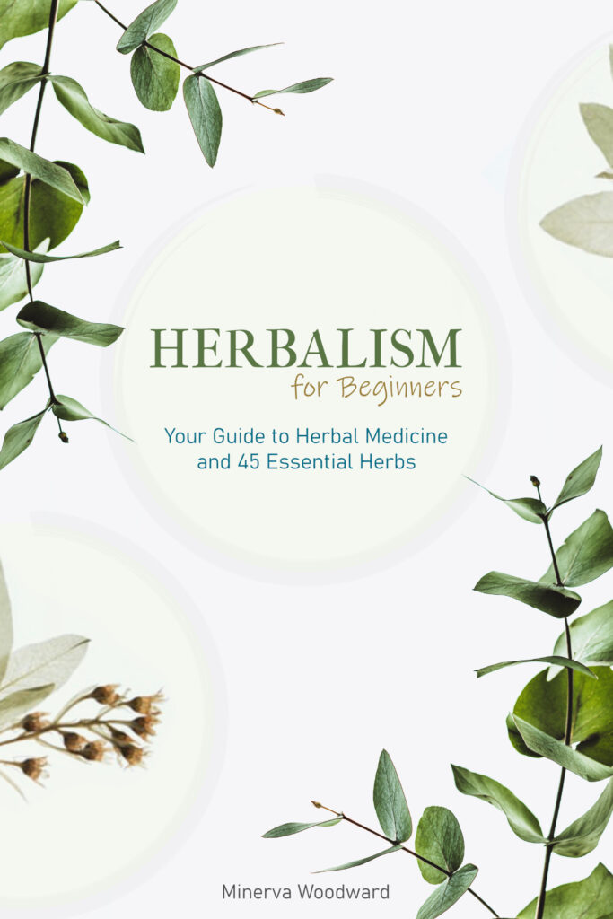 Herbalism for beginners